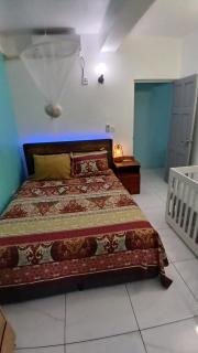 Cozy vacation retreat with free parking - Roseau - 8