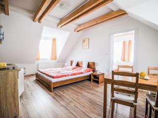 Apartment Dueta Apartment-4 by Interhome - Český Krumlov - 4