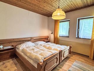 Apartment Appartement 2 by Interhome - Schladming - 6