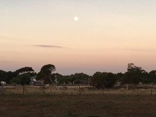 Spirit of Tasmania Stopover 6 secure DIDO sites SC Motor Homes RVs ONLY! BYO Toilet and bed! Private Hobby Horse Farm Rooms extra - Lara - 8
