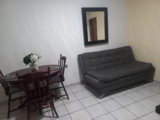 Apartment bello y tranquilo - Città del Messico - 7