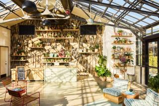 Treehouse Hotel Silicon Valley - 7