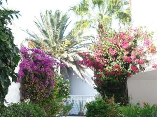 Bungalow with 2 bedrooms - Costa Calma - 3
