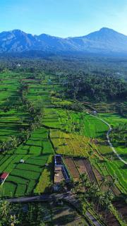 Lombok Grace Bungalows - Tetebatu - 8