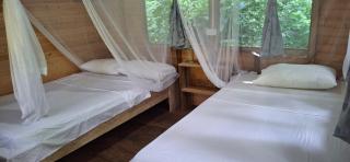 Palmar - - 7