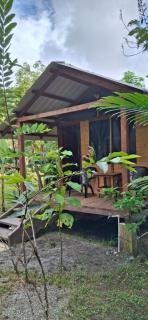 Palmar - - 9