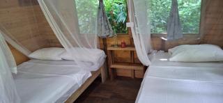 Palmar - - 3