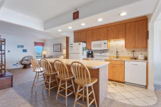DL303 Herpy Oceanfront - Nags Head - 2