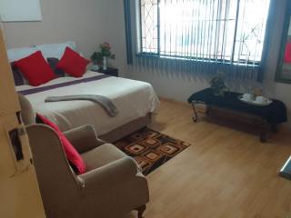Garden View Guesthouse Fleurhof - Johannesburg - 9