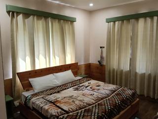 The IRIS Hotel - Kangra - 6
