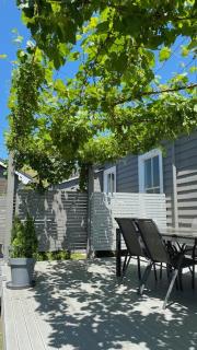 Luxury Village Villa 200metres from Village - Havelock North - 4