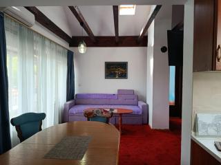 Sunshine Apartments Visoko - Visoko - 9