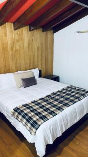 Bosques del Paico, Punta Arenas - Punta Arenas - 6