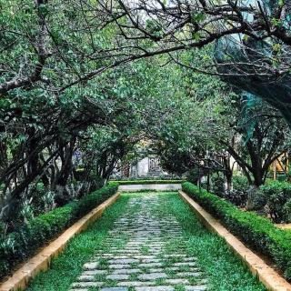 Minh Anh Homestay Huế - Ấp Long Hồ Hạ - 8