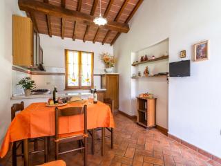 Authentic farmhouse in Castiglion Fiorentino with organic wines - Castiglion Fiorentino - 7