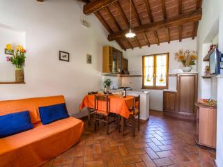 Authentic farmhouse in Castiglion Fiorentino with organic wines - Castiglion Fiorentino - 6