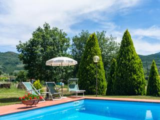 Authentic farmhouse in Castiglion Fiorentino with organic wines - Castiglion Fiorentino - 2