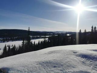 Ål Cabin With Panoramic Views - 4