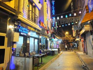 clove silvana hotel - Istanbul - 8