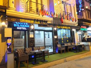 clove silvana hotel - Istanbul - 9