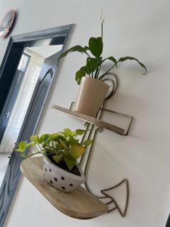 PureLife Luxury Cottages Solan - Barog - 1