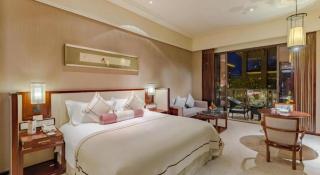 Tong Que Tai Jinling Hotel Tongling Anhui - Tongling - 1
