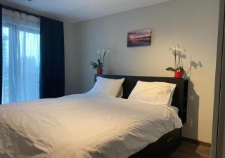 Homeawayfromhomeghent - Gand - 6
