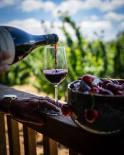 וידה בחרמון שביל הגולן- בקתת 2 חדרי שינה וסלון בלב מטע דובדבנים - 6