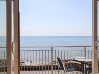 Watersmeet - Lyme Regis - 1