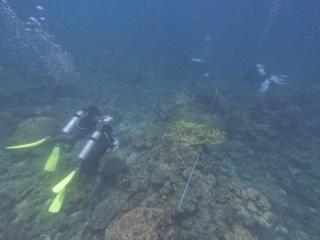 Anis View Chalet - 8