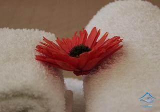 Scariceddu Etna Sea Guest House - Riposto - 2