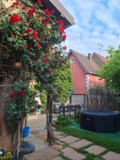 Studio chez Eve et Momo - Ingwiller - 1