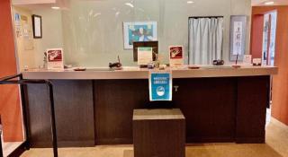 The Hamilton Sapporo Hotel - Sapporo - 5