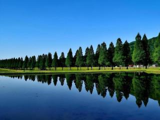 Imazu Sun Bridge Hotel - Takashima - 4