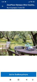 ZeusPlace Olympus Olive Country House 1 - Leptokarya - 6