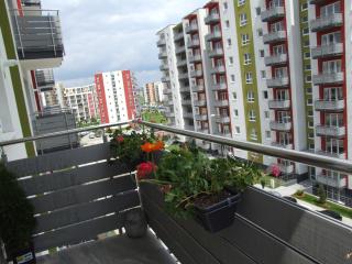 Anca Apartment - Brasov - 5