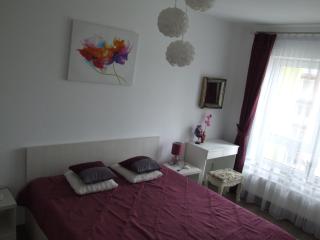 Anca Apartment - Brasov - 0