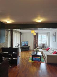 Central Mountain View Apartment - Braşov - 6
