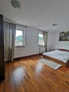 Central Mountain View Apartment - Braşov - 5