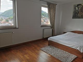 Central Mountain View Apartment - Braşov - 9