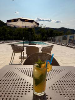 Vega Resort Restaurant & Lodge - Orşova - 2