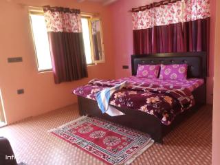 Ghughuti home stay - Mukteshwar - 7