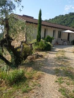Briciole di Pietra B&B - Dolceacqua - 9