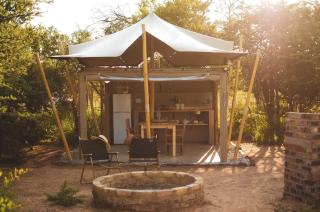 The Leadwood Safari Camp - 5