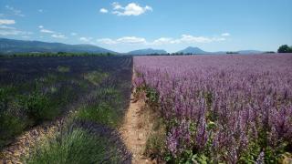 Maison du Portail - 1