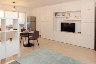 Cozy Studio - Sînpetru - 4