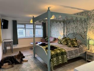 Traeth Rooms - Cardigan - 9