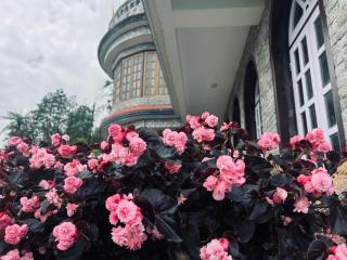 Sakura stay - Temi - 0