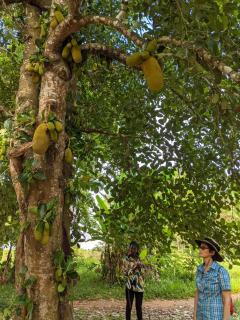African Angel House B&B - Stone Town - 1