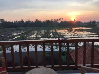 Heavenly View Villa - Ubud - 1